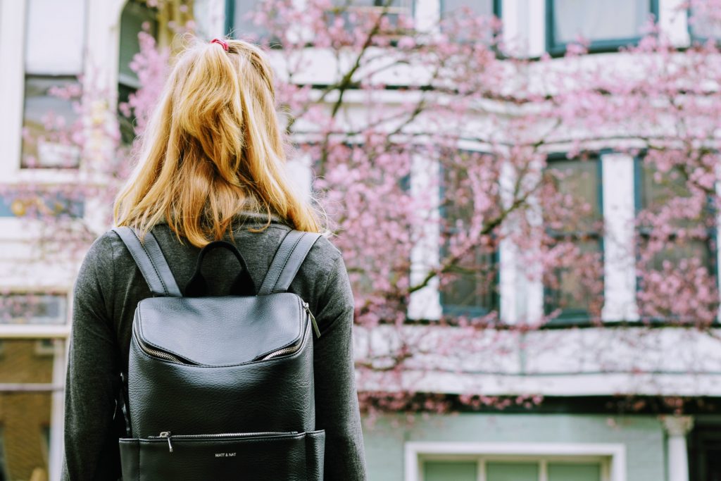 équivalents du baccalauréat